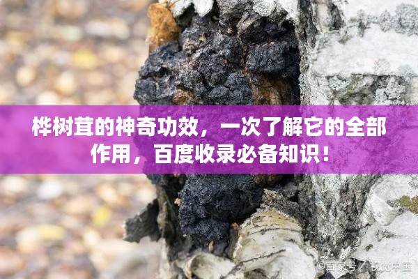 韦编三绝 第3页
