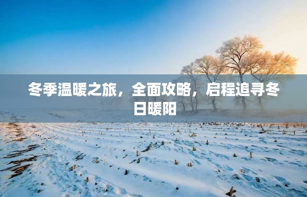 冬季温暖之旅，全面攻略，启程追寻冬日暖阳