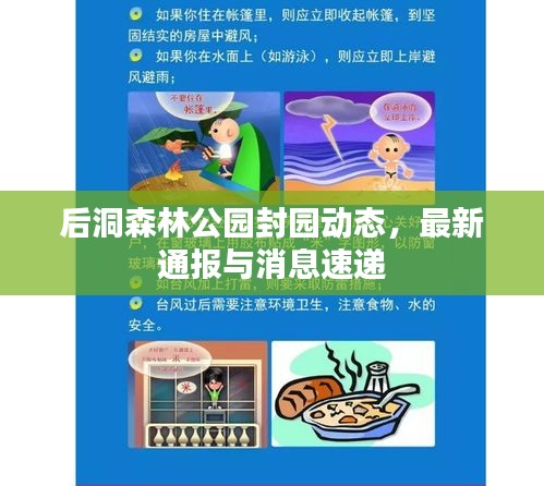后洞森林公园封园动态，最新通报与消息速递