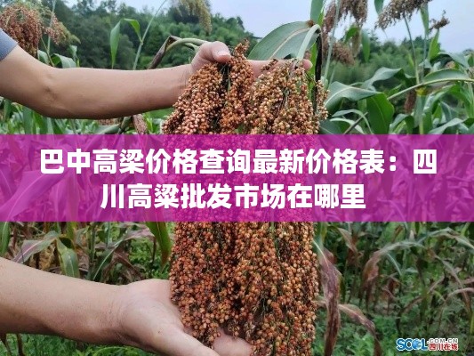 箭拔弩张 第3页