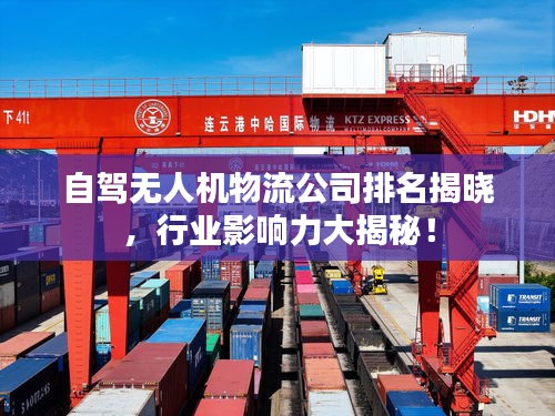 自驾无人机物流公司排名揭晓，行业影响力大揭秘！