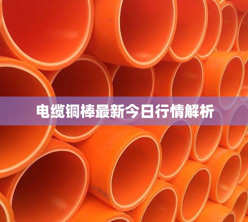 电缆铜棒最新今日行情解析
