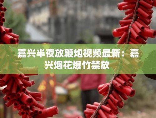 嘉兴半夜放鞭炮视频最新：嘉兴烟花爆竹禁放 
