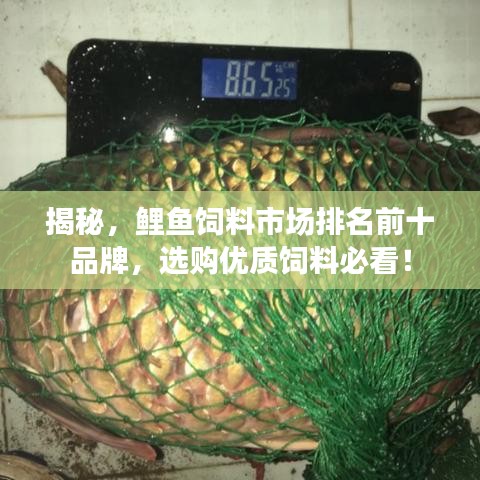 揭秘，鲤鱼饲料市场排名前十品牌，选购优质饲料必看！