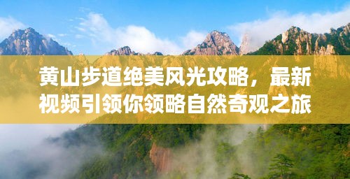 鸟覆危巢 第3页