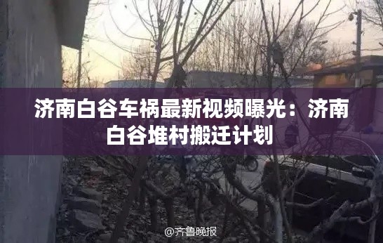 囊萤映雪 第3页