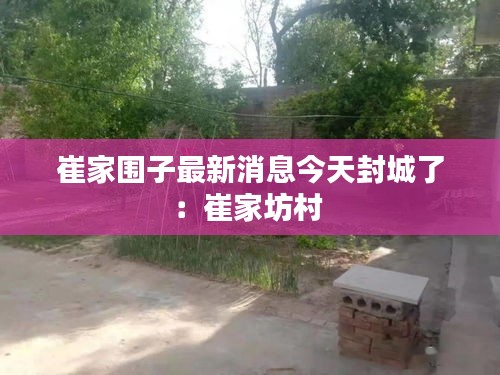 崔家围子最新消息今天封城了：崔家坊村 
