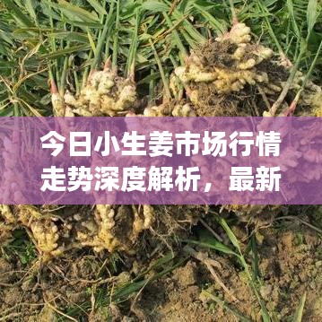 张睢阳齿 第3页