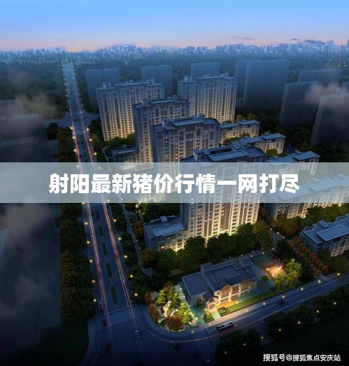 射阳最新猪价行情一网打尽
