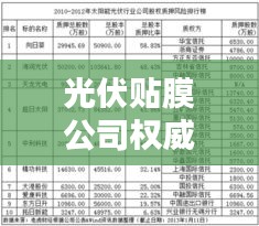 光伏贴膜公司权威排名榜，行业领军者一览