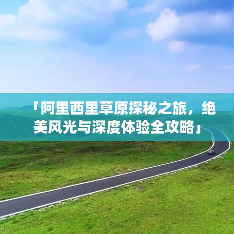 夫妻本是同林鸟 第3页