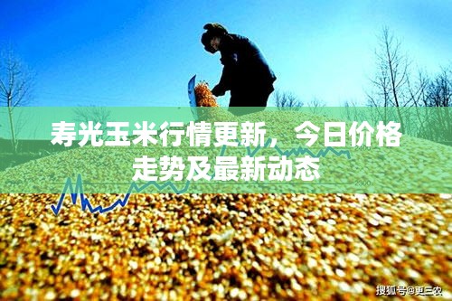 步履如飞 第3页