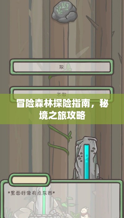 冒险森林探险指南，秘境之旅攻略