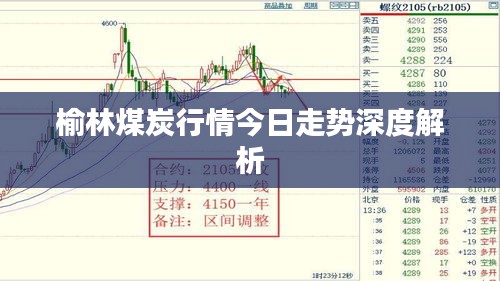 榆林煤炭行情今日走势深度解析