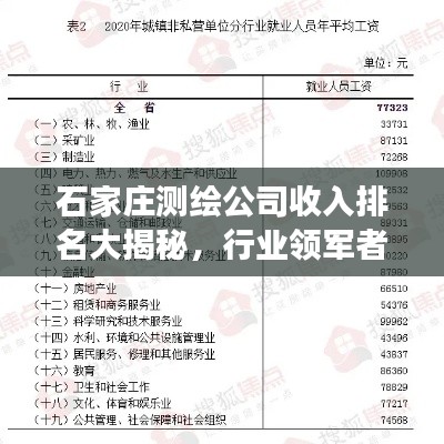 石家庄测绘公司收入排名大揭秘，行业领军者的业绩与未来展望