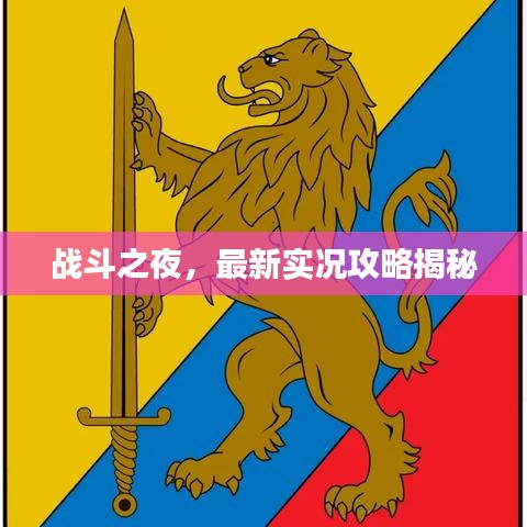 战斗之夜，最新实况攻略揭秘
