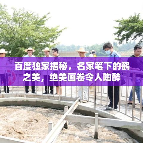 百度独家揭秘，名家笔下的鹤之美，绝美画卷令人陶醉