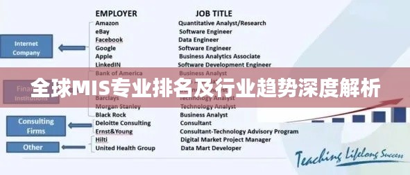 全球MIS专业排名及行业趋势深度解析