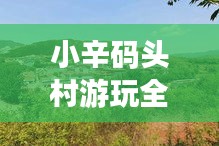 小辛码头村游玩全攻略，探秘魅力水乡，体验别样风情！