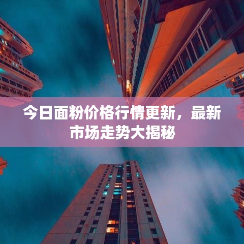 今日面粉价格行情更新，最新市场走势大揭秘