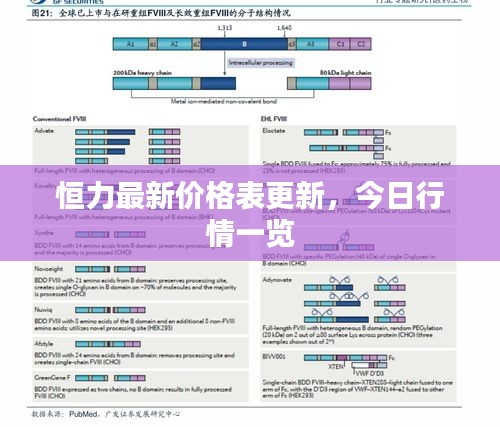 恒力最新价格表更新，今日行情一览