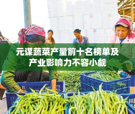 元谋蔬菜产量前十名榜单及产业影响力不容小觑