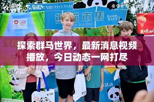 探索群马世界，最新消息视频播放，今日动态一网打尽