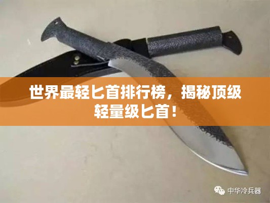 举步如飞 第4页