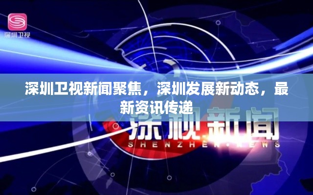 深圳卫视新闻聚焦，深圳发展新动态，最新资讯传递