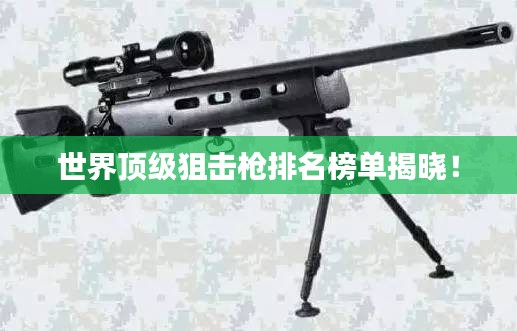 丢三落四 第3页