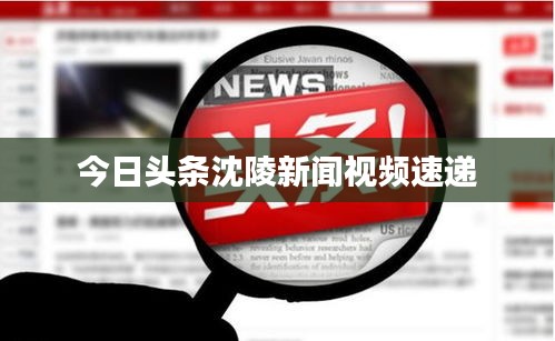 今日头条沈陵新闻视频速递