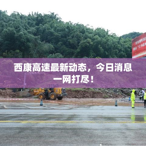 鸟为食亡 第3页