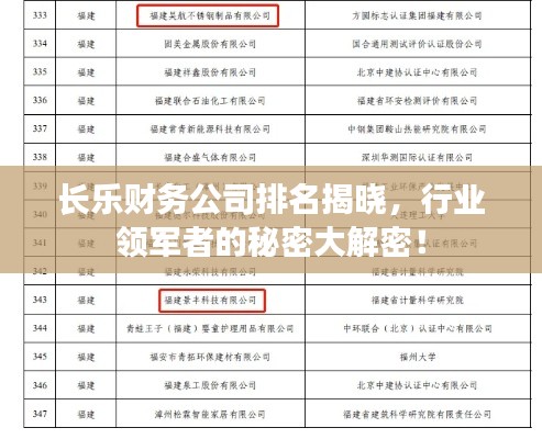 长乐财务公司排名揭晓，行业领军者的秘密大解密！