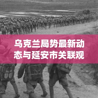举世无双 第3页