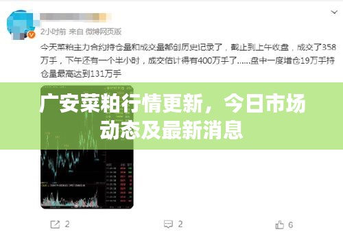 法不阿贵 第2页