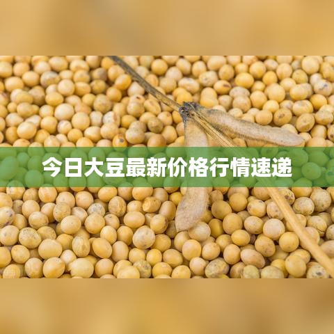 民贵君轻 第3页