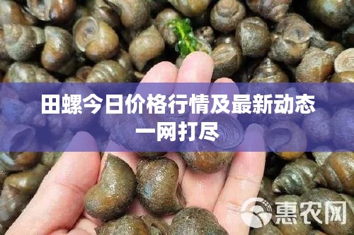 斫琱为朴 第3页