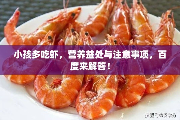 小孩多吃虾，营养益处与注意事项，百度来解答！