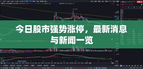 今日股市强势涨停，最新消息与新闻一览