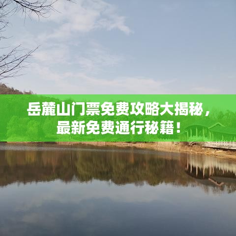 穷鸟入怀 第3页