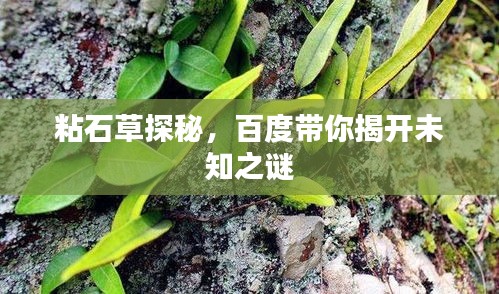 贵阴贱璧 第3页
