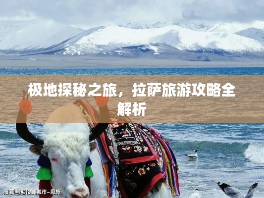 矫揉造作 第3页