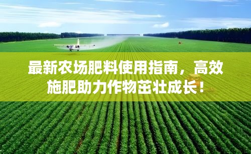 朴素无华 第3页