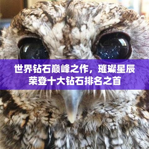 世界钻石巅峰之作，璀璨星辰荣登十大钻石排名之首