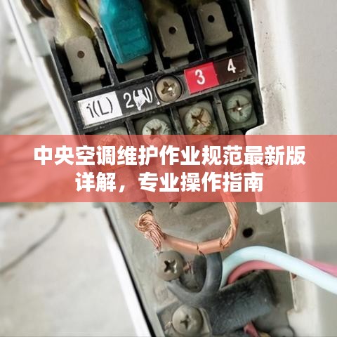 鸷鸟不群 第3页