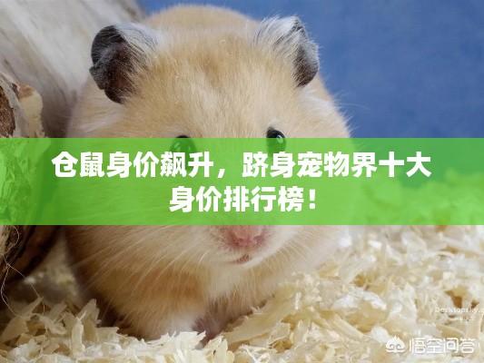 心急如焚 第3页