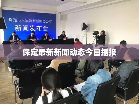 保定最新新闻动态今日播报