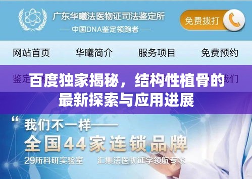 百度独家揭秘，结构性植骨的最新探索与应用进展