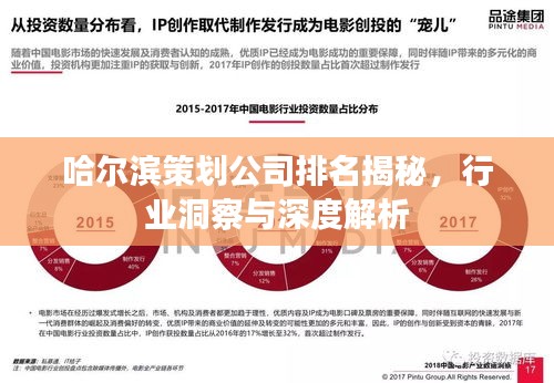 哈尔滨策划公司排名揭秘，行业洞察与深度解析
