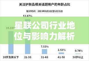 星联公司行业地位与影响力解析，揭秘其在行业中的排名及深远影响